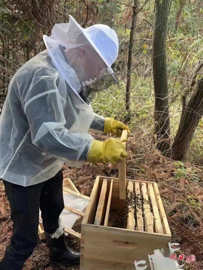 残疾人创业项目业_四年级残疾人创业项目_残疾人创业项目申请书怎么写